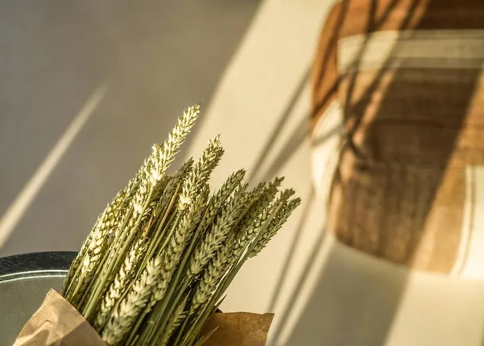 Вилла Mykonos High Sunset Plintri