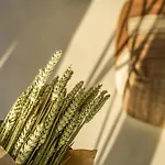 Villa Mykonos High Sunset Plintri