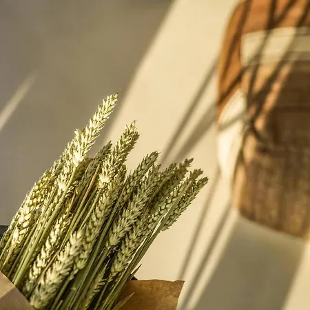 Вилла Mykonos High Plintri